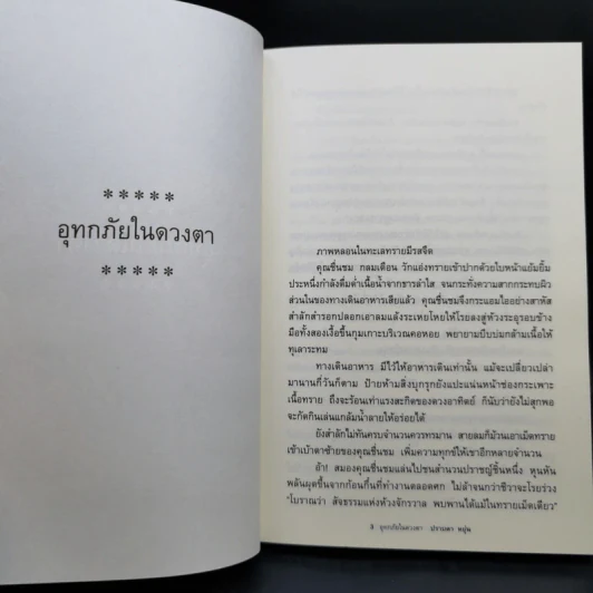 อุทกภัยในดวงตา - ปราบดา หยุ่น รูปที่ 12