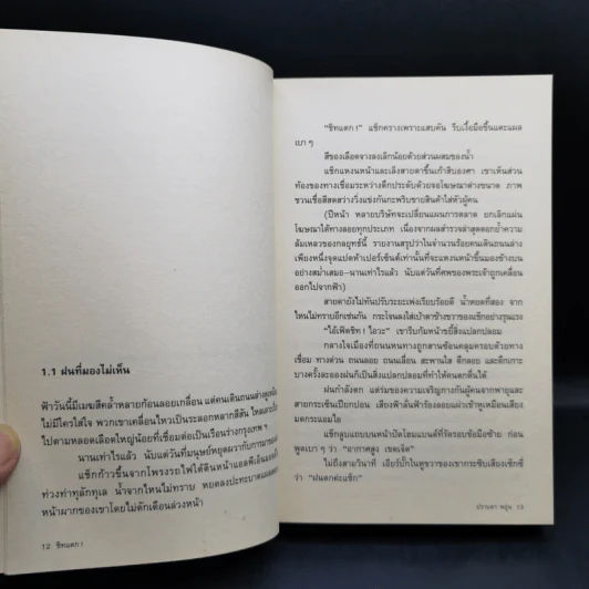 ชิทแตก - ปราบดา หยุ่น รูปที่ 11