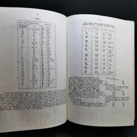 Thai-English Dictionary - ดร.วิทย์ เที่ยงบูรณธรรม รูปที่ 11