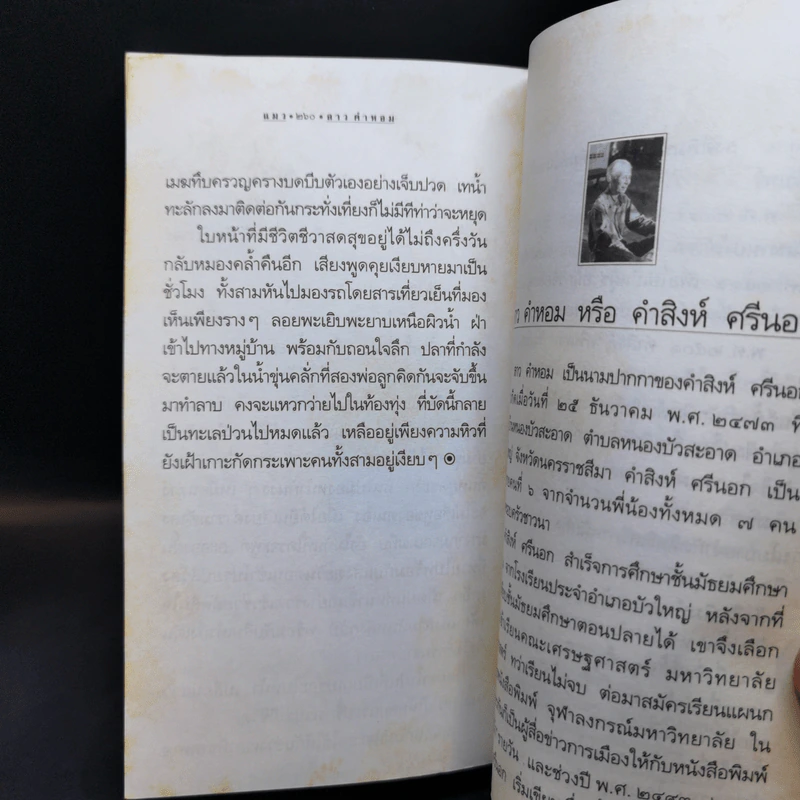 แมว The Cat - ลาว คำหอม รูปที่ 12