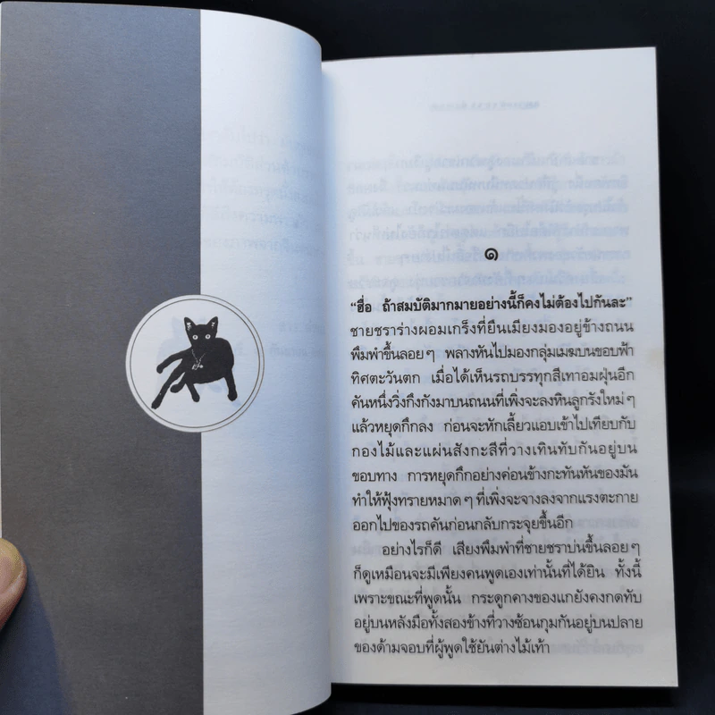 แมว The Cat - ลาว คำหอม รูปที่ 11