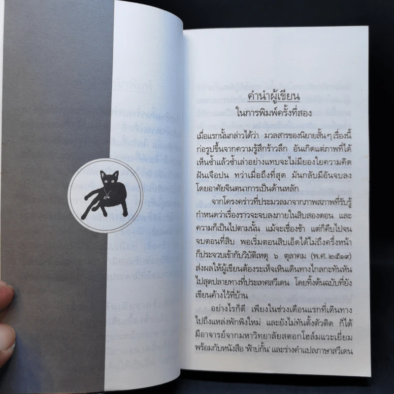 แมว The Cat - ลาว คำหอม รูปที่ 10