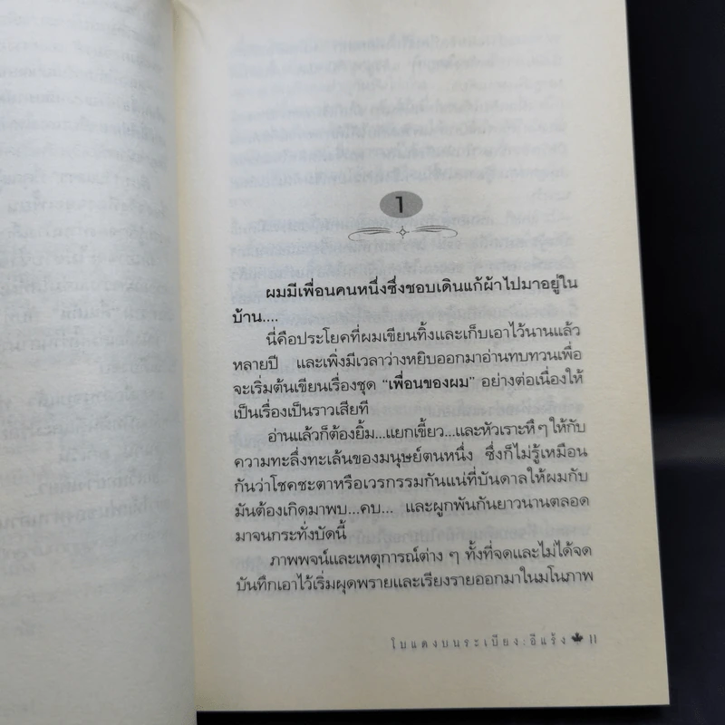 โบแดงบนระเบียง - อีแร้ง รูปที่ 11