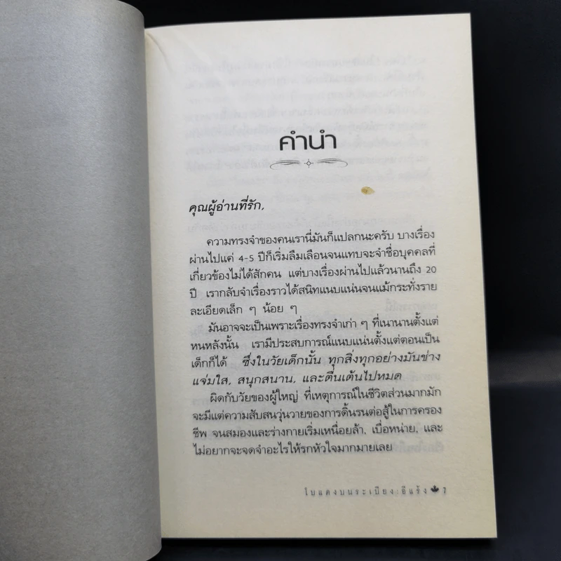 โบแดงบนระเบียง - อีแร้ง รูปที่ 10