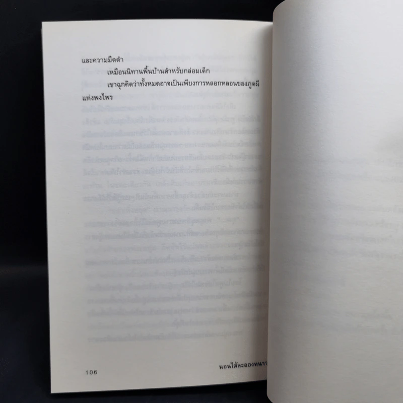 นอนใต้ละอองหนาว - ปราบดา หยุ่น รูปที่ 11