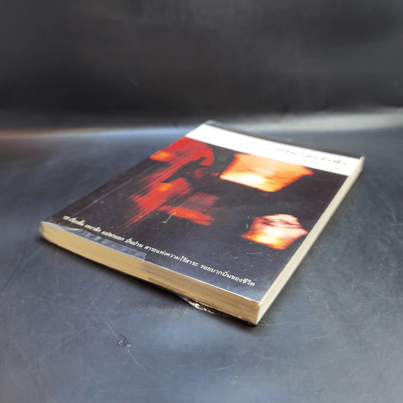 ปริมาตรรำพึง - อุทิศ เหมะมูล รูปที่ 7