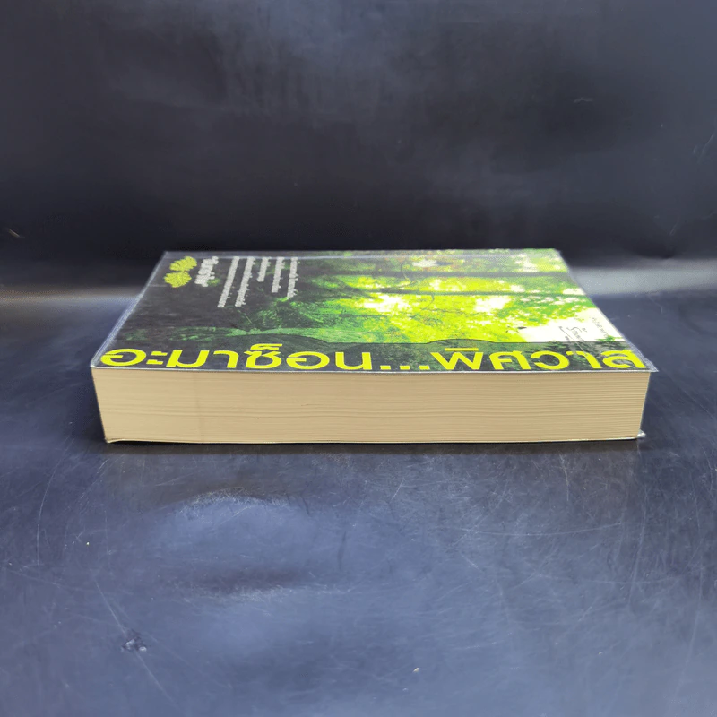 อะมาซ็อน...พิศวาส - จันทรำไพ รูปที่ 4
