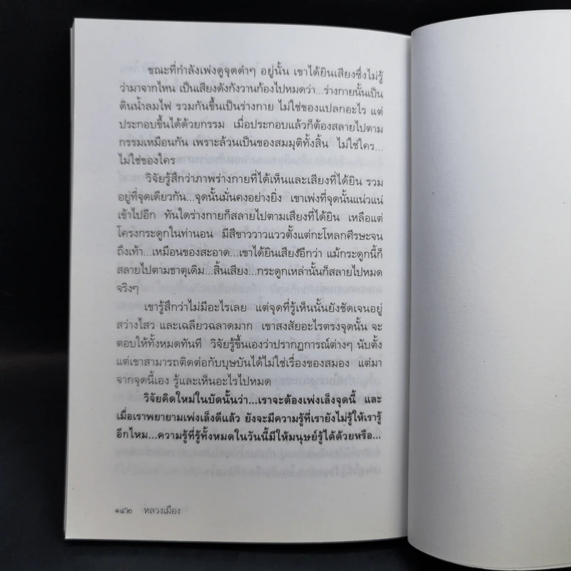จิตมหัศจรรย์ - หลวงเมือง รูปที่ 12