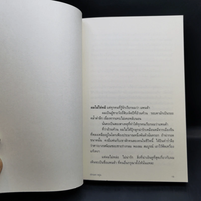 แพนด้า - ปราบดา หยุ่น รูปที่ 11