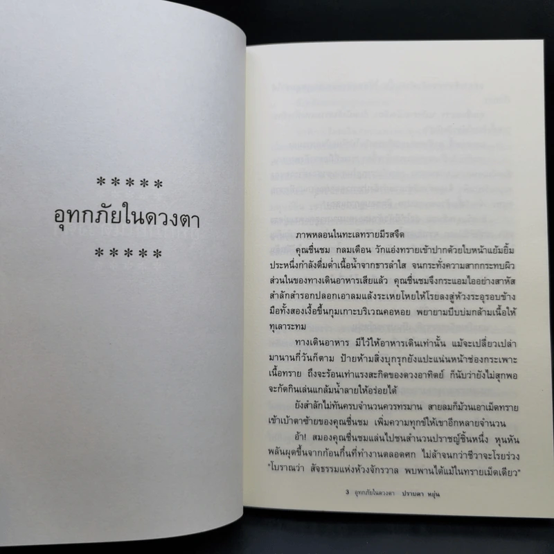 อุทกภัยในดวงตา - ปราบดา หยุ่น รูปที่ 12
