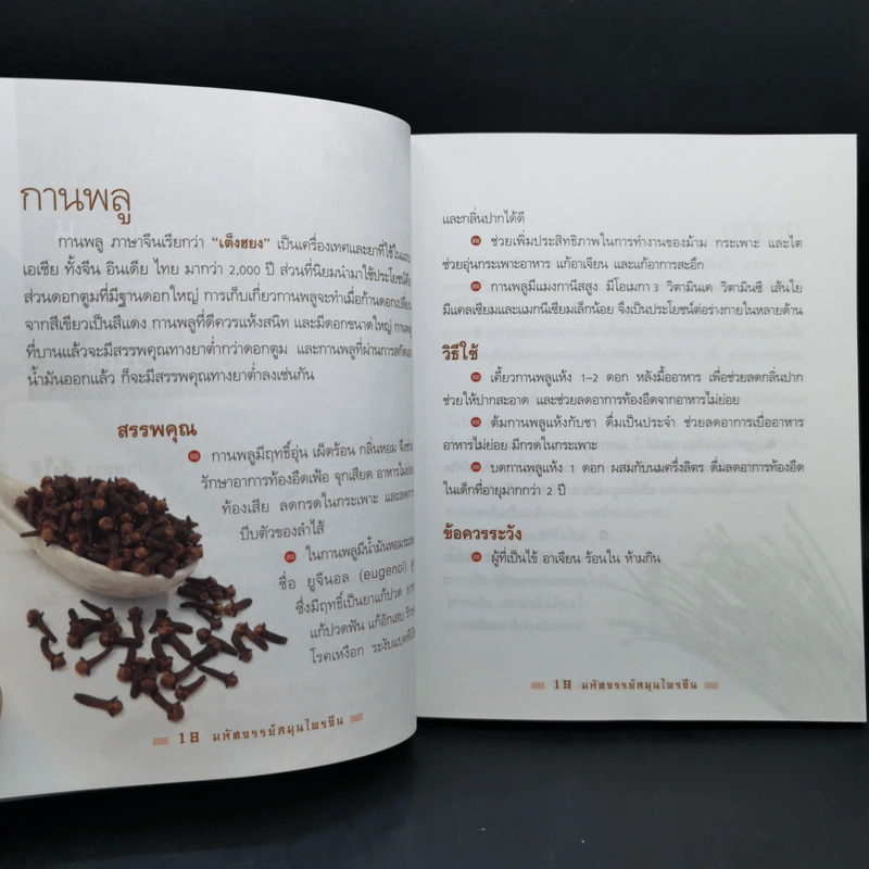 มหัศจรรย์สมุนไพรจีน รูปที่ 13