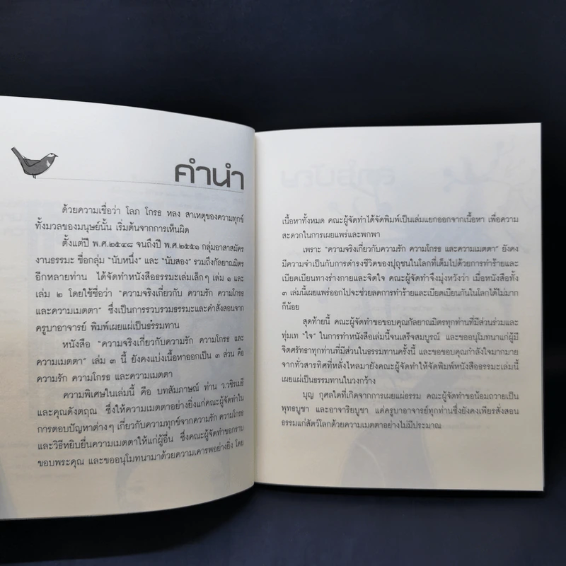 ความจริงเกี่ยวกับความรัก ความโกรธและความเมตตา เล่ม 3 รูปที่ 10