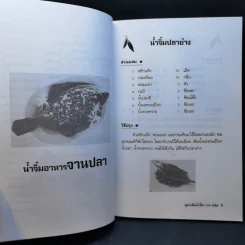 สูตรเด็ดน้ำจิ้ม 100 ชนิด - ศรีพรรณ รูปที่ 11