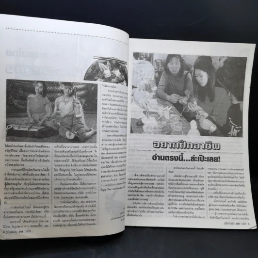 คู่มือทำกิน 108 อาชีพกับช่องทางทำเงิน รูปที่ 10