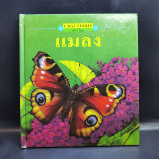 First Starts หนังสือความรู้วิทยาศาสตร์ ขายรวม 20 เล่ม รูปที่ 22