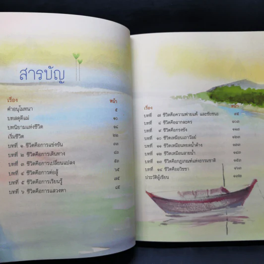 แม่ ชีวิตคืออะไร - ปิยโสภณ รูปที่ 11