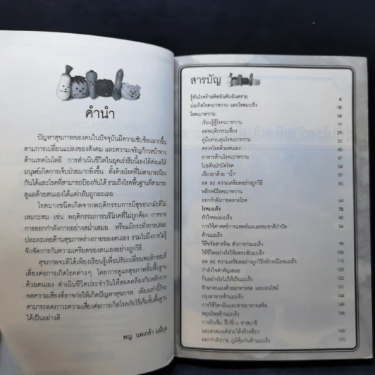ต่อสู้โรคมะเร็งสยบเบาหวาน - พญ.นพเกล้า มณีกุล รูปที่ 9