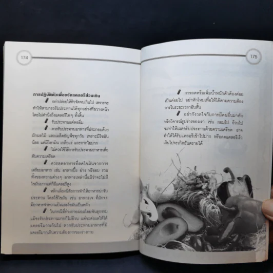 ต่อสู้โรคมะเร็งสยบเบาหวาน - พญ.นพเกล้า มณีกุล รูปที่ 12