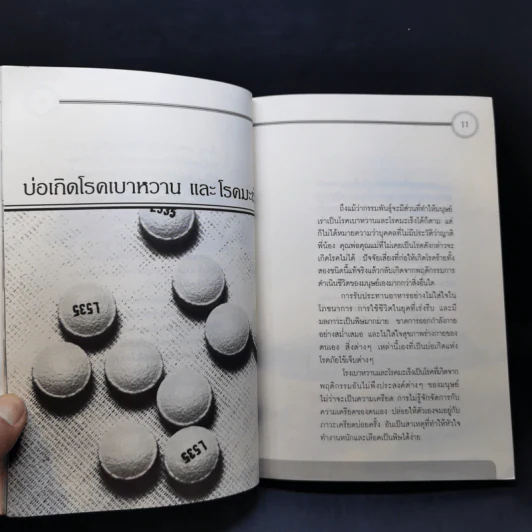 ต่อสู้โรคมะเร็งสยบเบาหวาน - พญ.นพเกล้า มณีกุล รูปที่ 11