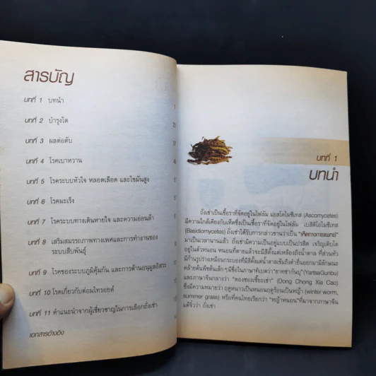 ถั่งเช่า สุดยอดยาอายุวัฒนะ รูปที่ 9