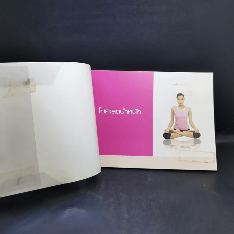 โยคะลดน้ำหนัก YOGA Fat burning รูปที่ 7