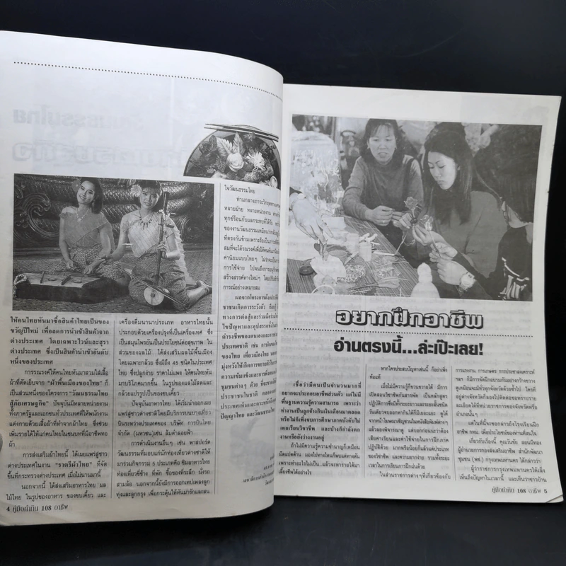 คู่มือทำกิน 108 อาชีพกับช่องทางทำเงิน รูปที่ 10