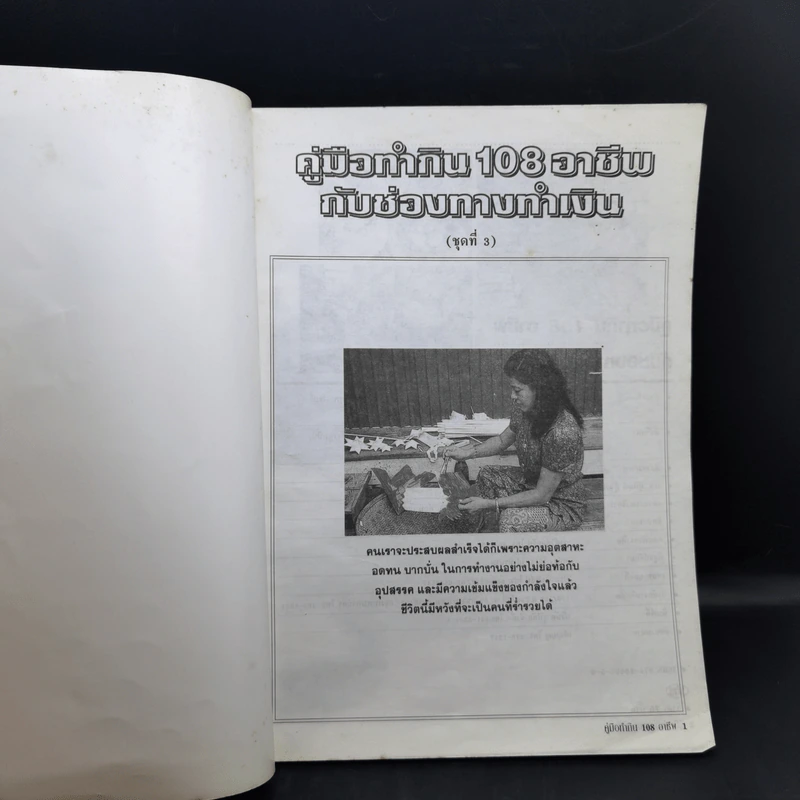 คู่มือทำกิน 108 อาชีพกับช่องทางทำเงิน รูปที่ 8