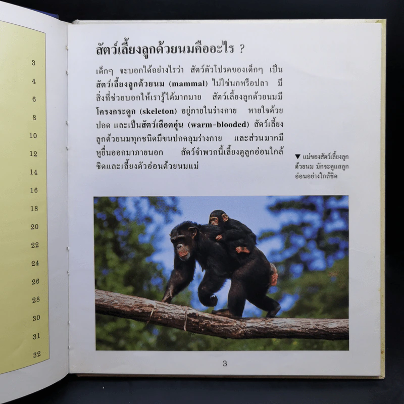 First Starts หนังสือความรู้วิทยาศาสตร์ ขายรวม 20 เล่ม รูปที่ 21