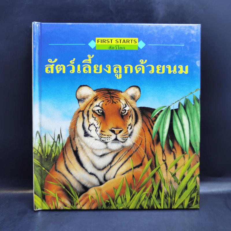 First Starts หนังสือความรู้วิทยาศาสตร์ ขายรวม 20 เล่ม รูปที่ 19