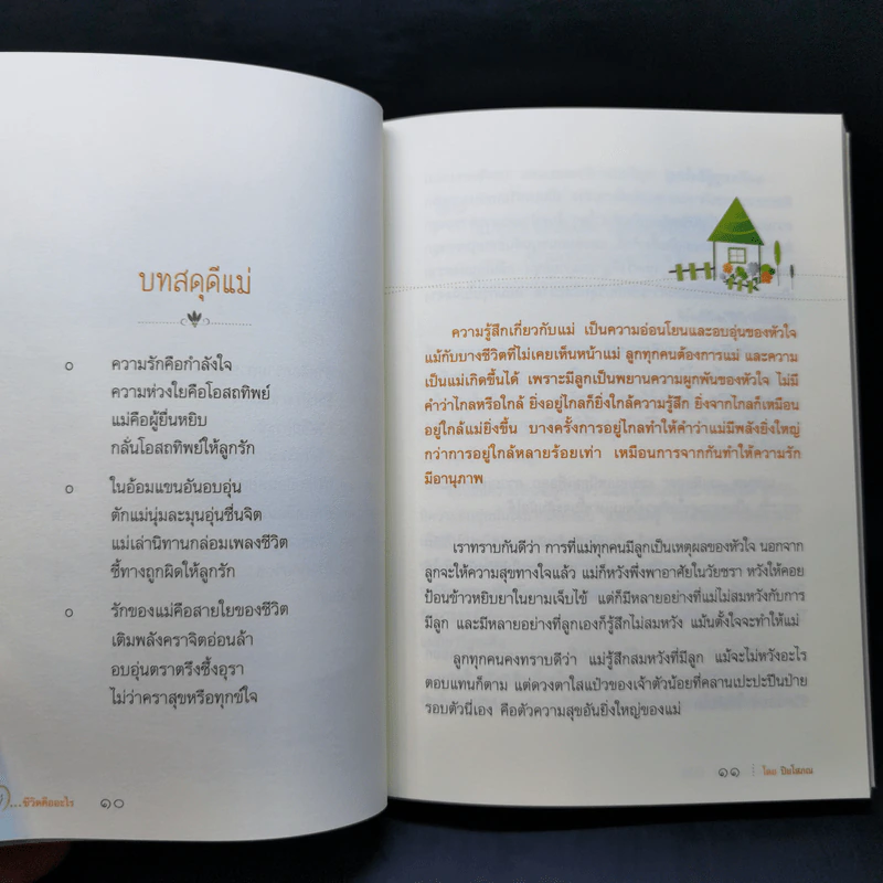 แม่ ชีวิตคืออะไร - ปิยโสภณ รูปที่ 12