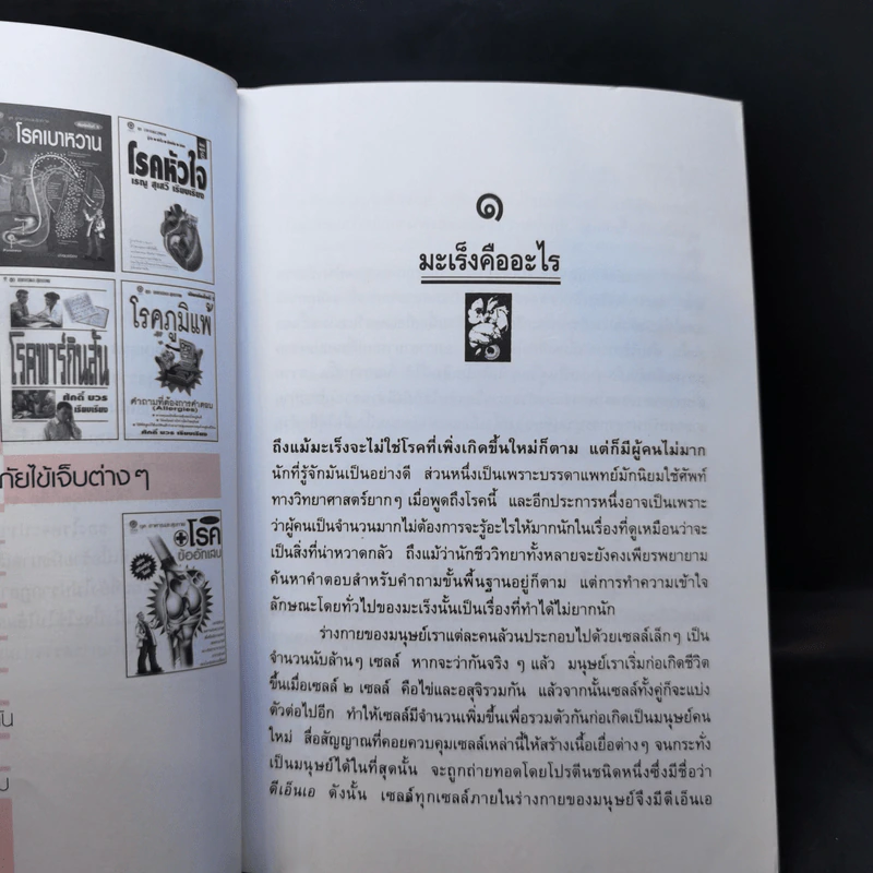 ชุดอาหารและสุขภาพ โรคมะเร็ง มหันตภัยร้ายของมนุษย์ - เรณู สุเสวี รูปที่ 6