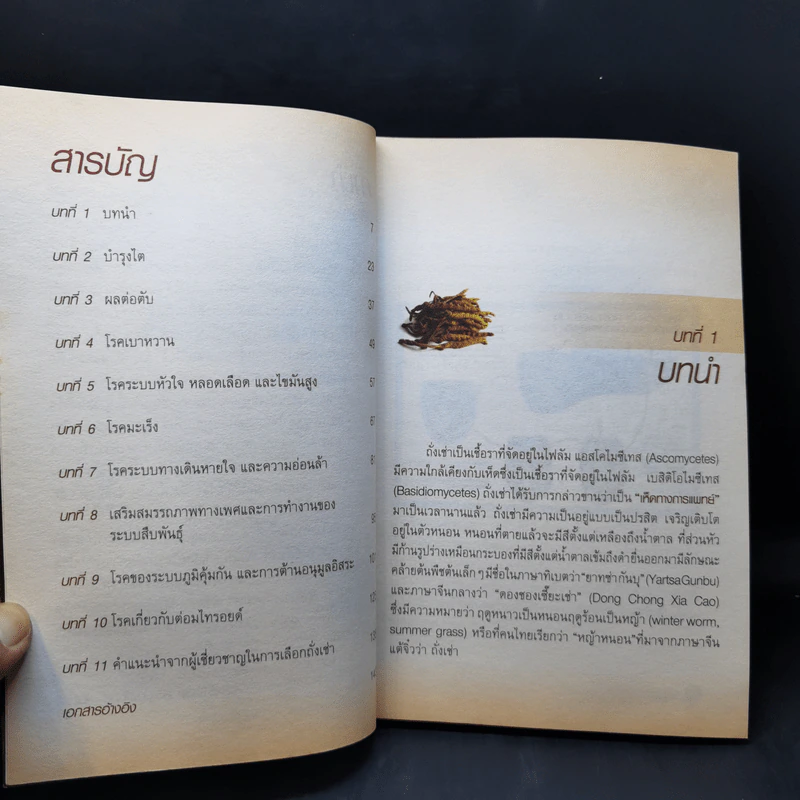 ถั่งเช่า สุดยอดยาอายุวัฒนะ รูปที่ 9