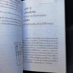 น้ำทิพย์จากธรรมชาติ ทางลัดเพื่อสุขภาพ จากผักและผลไม้ รูปที่ 11