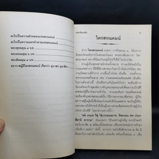 ไตรสรณคมน์ มูลนิธิปราณี สำเริงราชย์ รูปที่ 11