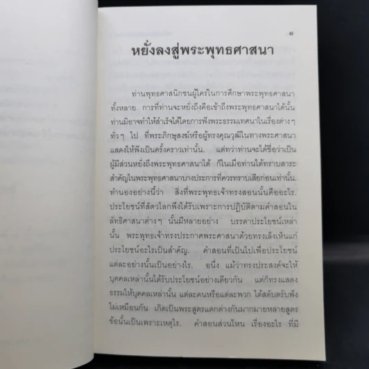 หยั่งลงสู่พระพุทธศาสนา - มูลนิธิปราณี สำเริงราชย์ รูปที่ 12
