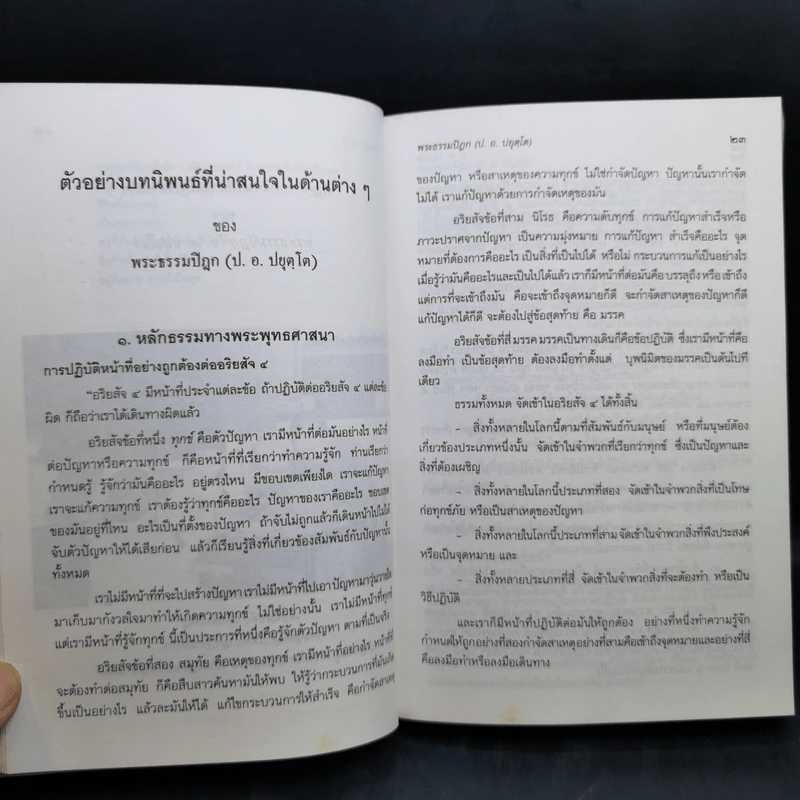 ประวัติของพระธรรมปิฎก (ป.อ.ปยุตโต) รูปที่ 16