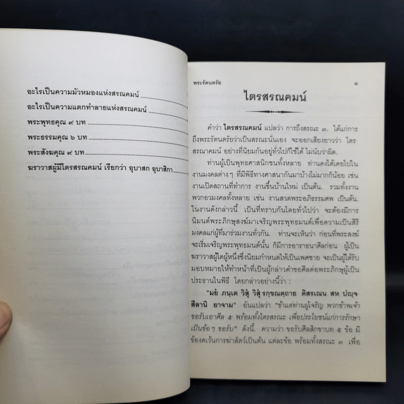 ไตรสรณคมน์ มูลนิธิปราณี สำเริงราชย์ รูปที่ 11