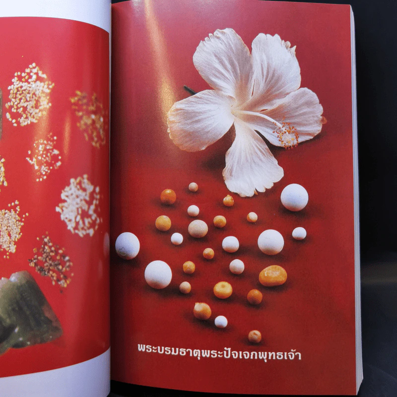ปิยารำลึก ที่ระลึกงานพระราชทานเพลิงศพ นางสาว ศราวณี มณีวัต รูปที่ 13