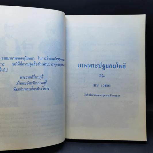 ศรีฟ้าจุฬาทิพย์ ส.ค.ส.2528 รูปที่ 13