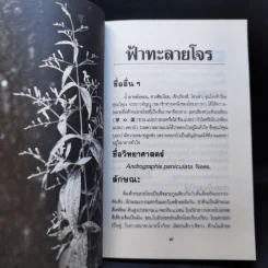 ฟ้าทะลายโจร รูปที่ 11