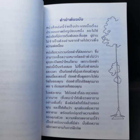 สงบด้วยสติ - โจเซฟ โกลด์สไตน์ รูปที่ 9