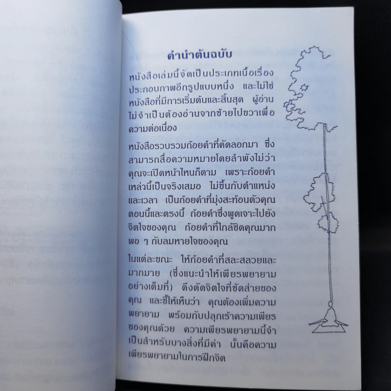 สงบด้วยสติ - โจเซฟ โกลด์สไตน์ รูปที่ 9
