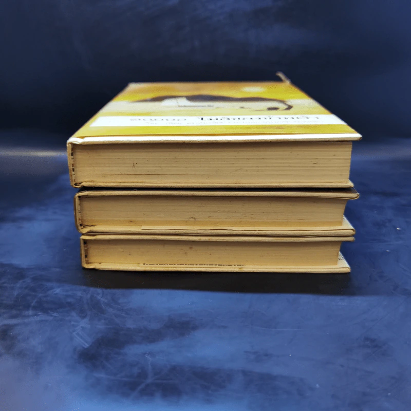 Boxset ฝันร้ายของข้าพเจ้า ฝันจริงของข้าพจ้า 10,000 ไมล์ของข้าพเจ้า - เลื่อน ศราภัยวานิช (หายาก) รูปที่ 7