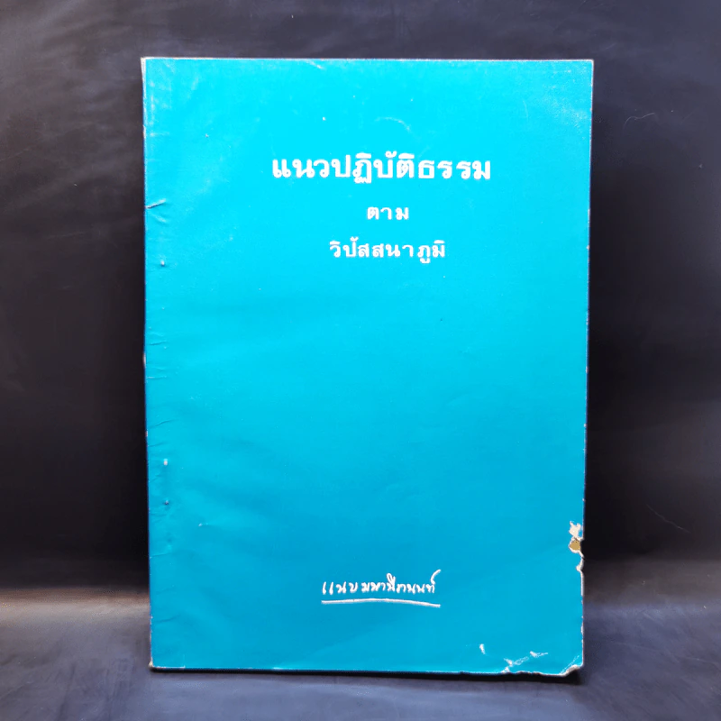 แนวปฏิบัติธรรมตามวิปัสสนาภูมิ - อาจารย์แนบ มหานีรานนท์ รูปที่ 1
