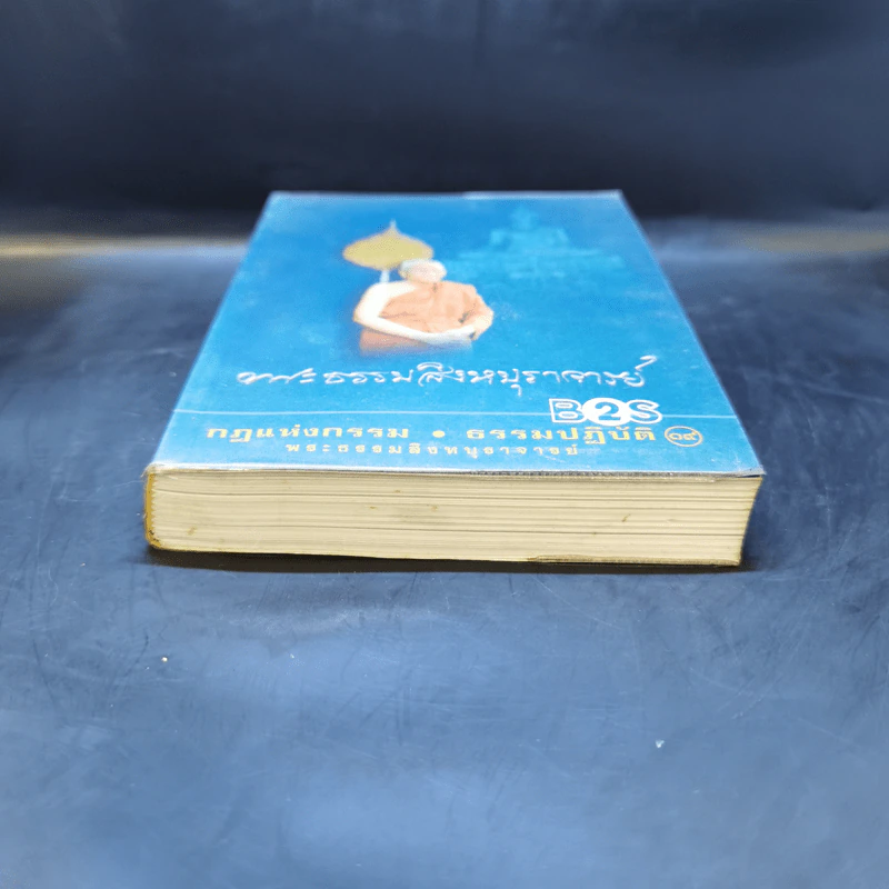 กฎแห่งกรรม ธรรมปฏิบัติ เล่ม 19 - พระธรรมสิงหบุราจารย์ รูปที่ 4