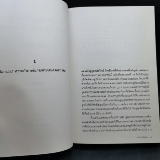เศรษฐกิจจีน - ปริศนา ความท้าทาย อนาคต - Justin Yifu Lin (หลิน อี้ฟู) รูปที่ 11