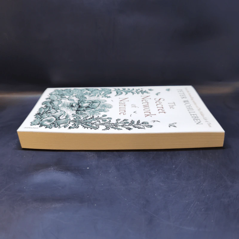The Secret Network of Nature - Peter Wohlleben รูปที่ 5