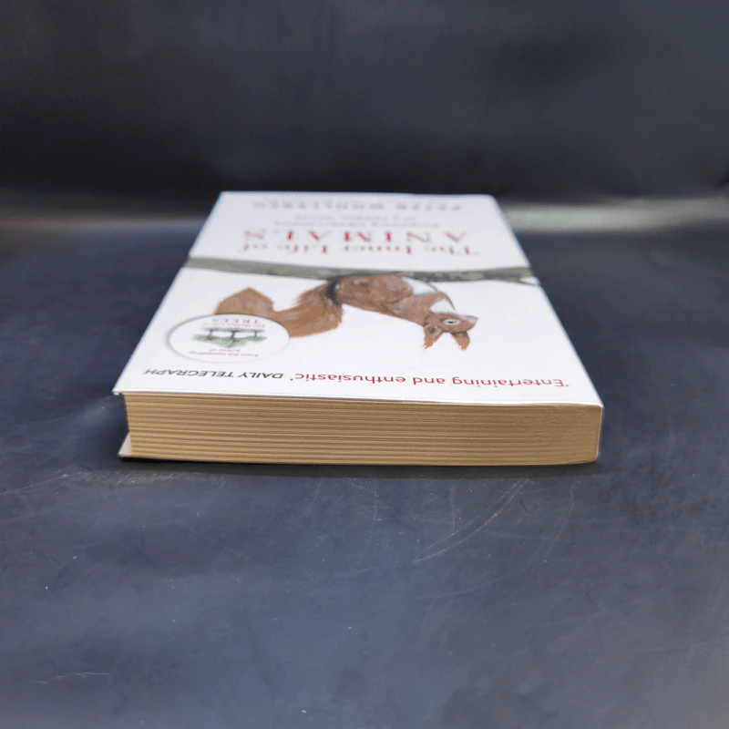 The Inner Life of Animals - Peter Wohlleben รูปที่ 6