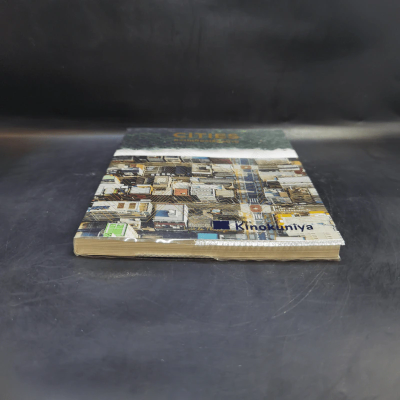 Cities ความเมืองเรื่องบ้าน - Little Thoughts รูปที่ 4
