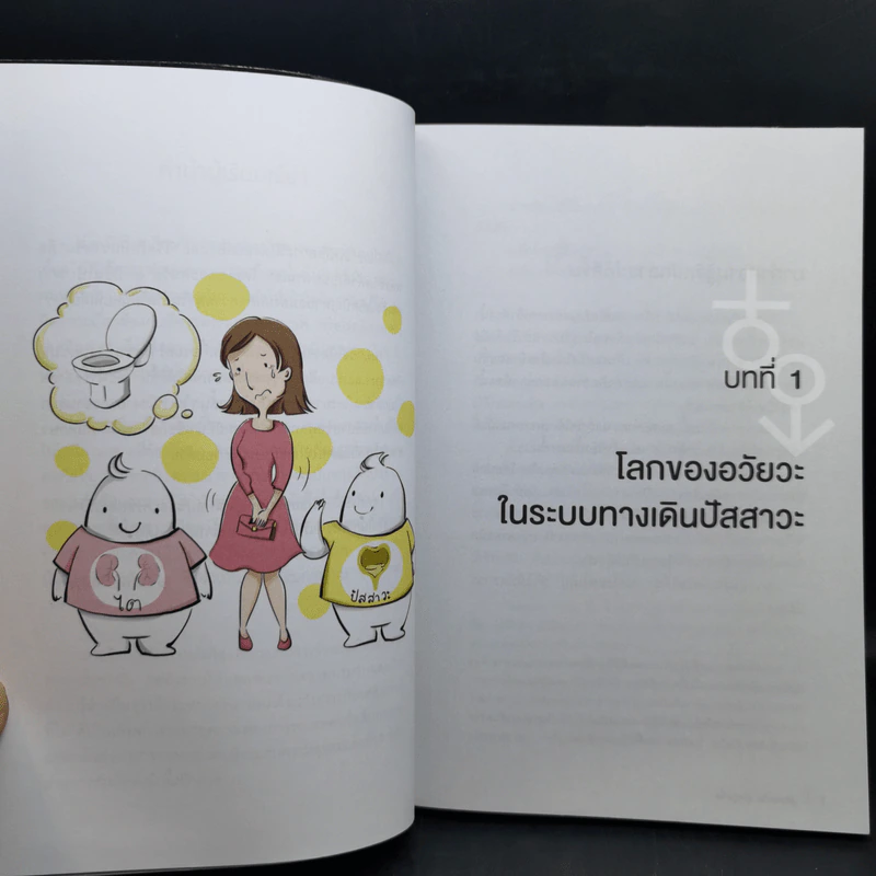 ผู้ชายสะบัด ผู้หญิงเช็ด - Bongsuk Shim,MD,Phd รูปที่ 12
